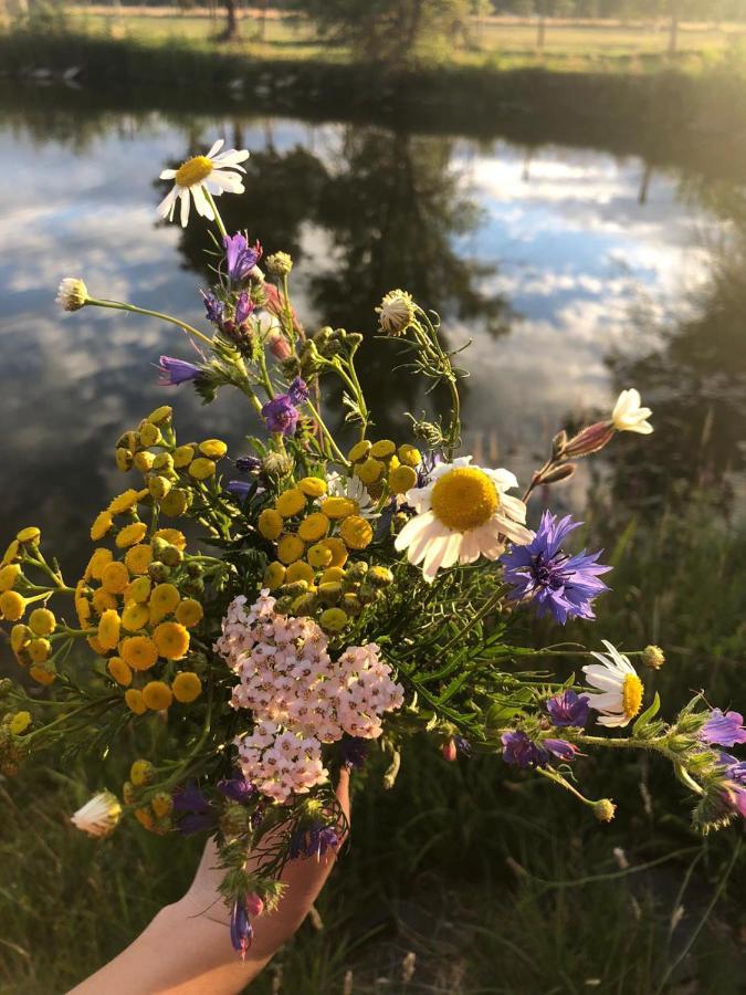 Gaestehaus Deibow Eksteriør bilde